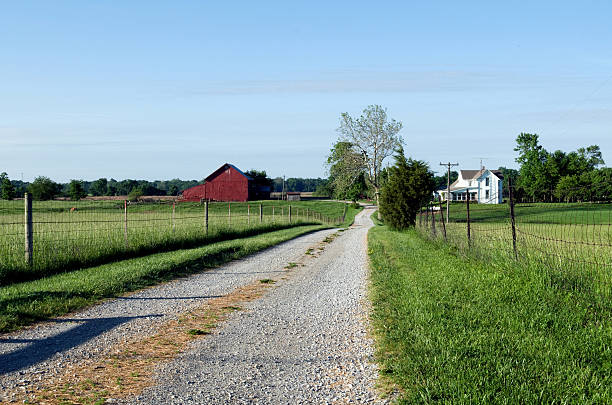 istock Country morning 118304260