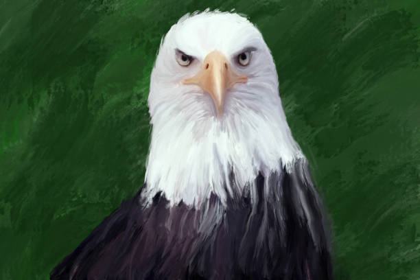 Digital painting of Eagle