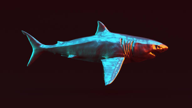 istock Silver Great White Shark with Red Orange and Blue Green Moody 80s lighting Right View 1183044934