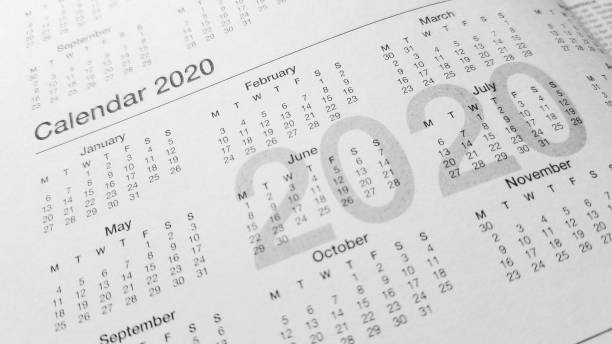 calendar 2020 planning calendar 2020 planning chinese zodiac sign photos stock pictures, royalty-free photos & images