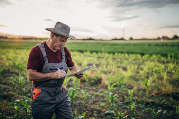 istock Farmer doing quality control at the farm 1183061248