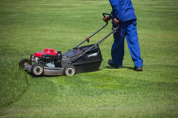 istock Lawnmower cutting green grass 1183062416