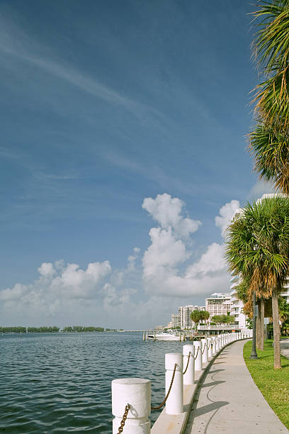 istock seawall and marina in miami facing biscayne bay 118306524