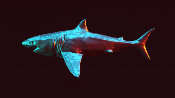 istock Silver Great White Shark with Red Orange and Blue Green Moody 80s lighting Left View 1183065848