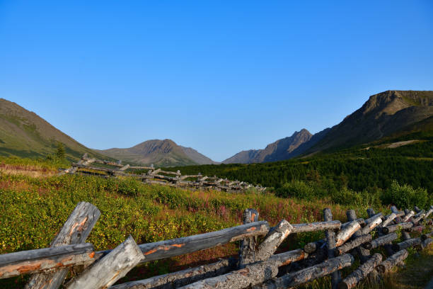 istock Flattop mountain in Anchorage, Alaska 1183067164