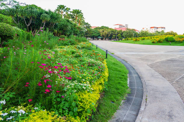 istock flower garden with concrete footpath in park 1183068087