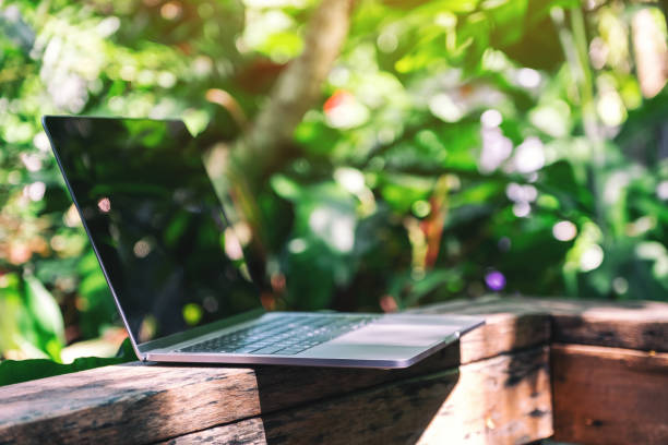 istock A laptop computer in the garden 1183068427