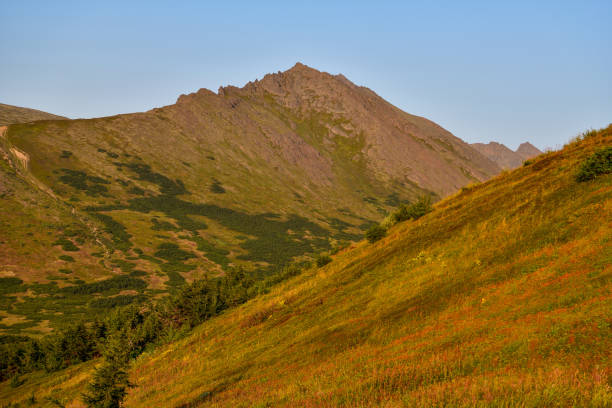 flattop mountain w: anchorage - flattop mountain zdjęcia i obrazy z banku zdjęć