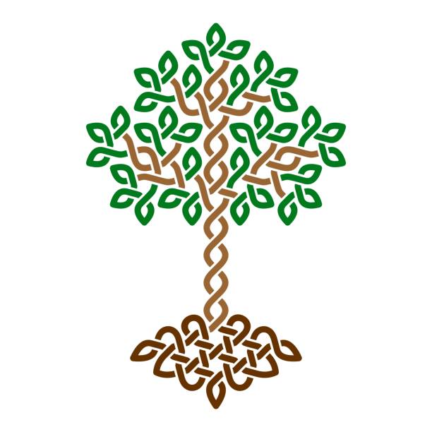 illustrations, cliparts, dessins animés et icônes de yggdrasil, arbre celtique de la vie, ornement tissé simple - yggdrasil