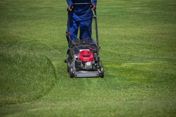 istock Lawnmower cutting green grass 1183071594