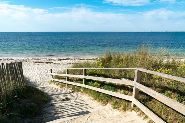 istock well-kept wooden beach access leading through sand dunes to an empty beach 1183071748