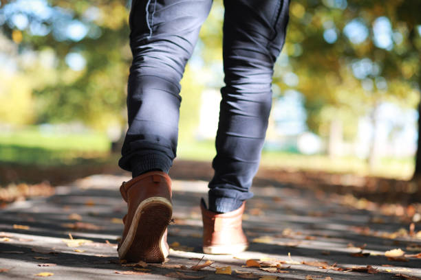 istock Autumn Park man walking along a path foliage 1183073065