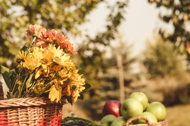 istock Fresh flowers in a basket in an orchard 1183073089