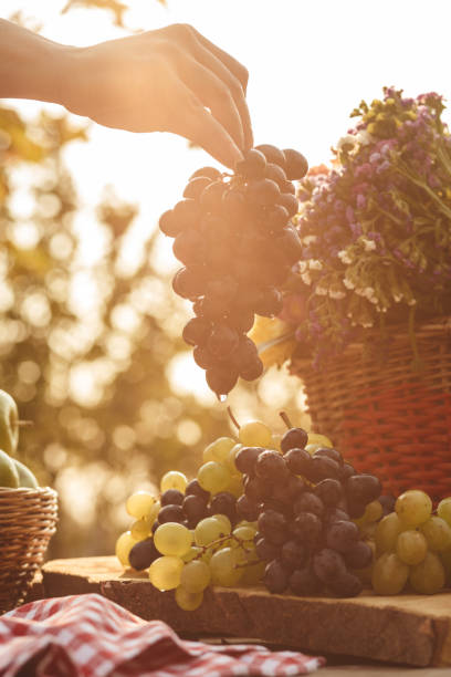 Arm holding red grapes, flowers and grapes in background