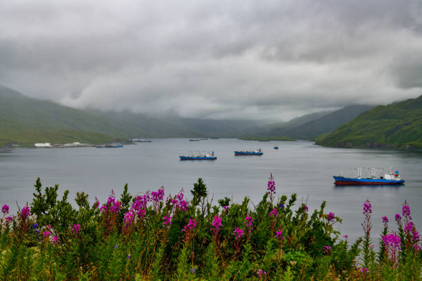 istock Dutch harbor in Unalaska Island, Alaska 1183073196