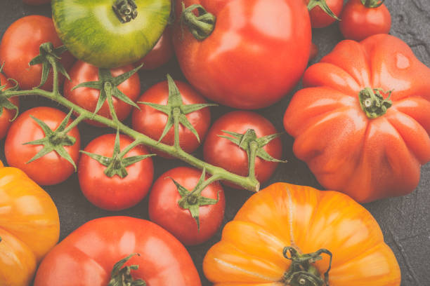istock Variety of large heirloom tomatoes 1183073413