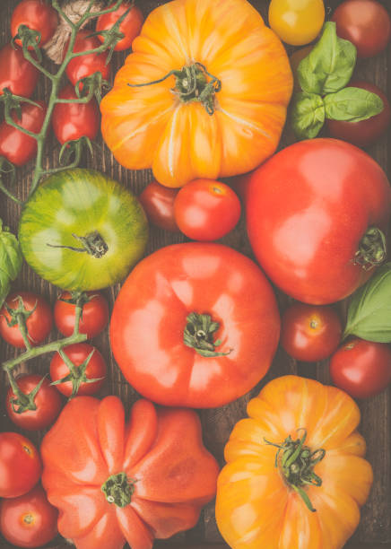istock Variety of large heirloom tomatoes 1183073424