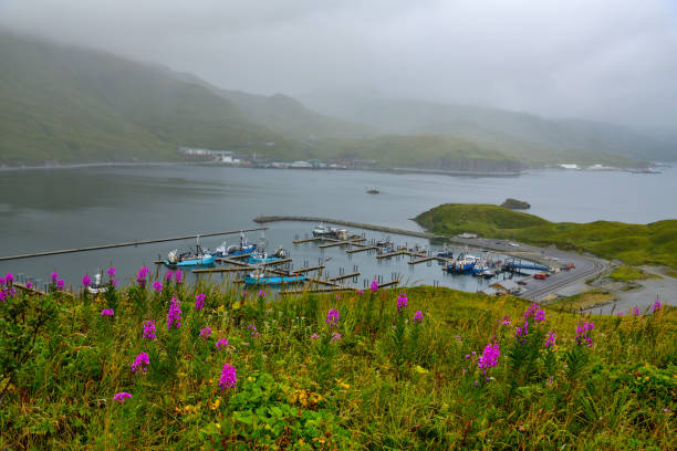Dutch harbor in Unalaska Island, Alaska