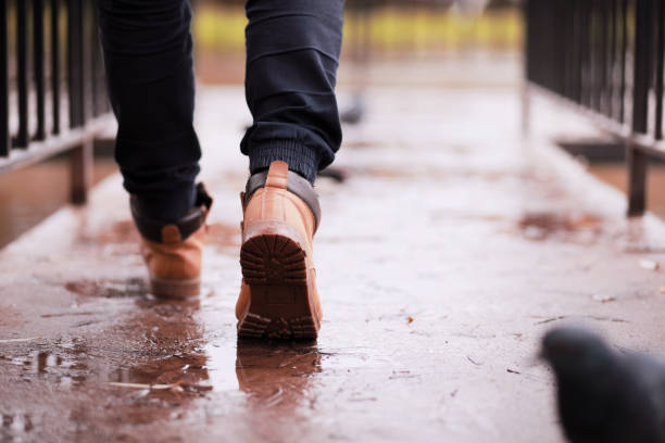 istock Autumn rainy park in October 1183073877