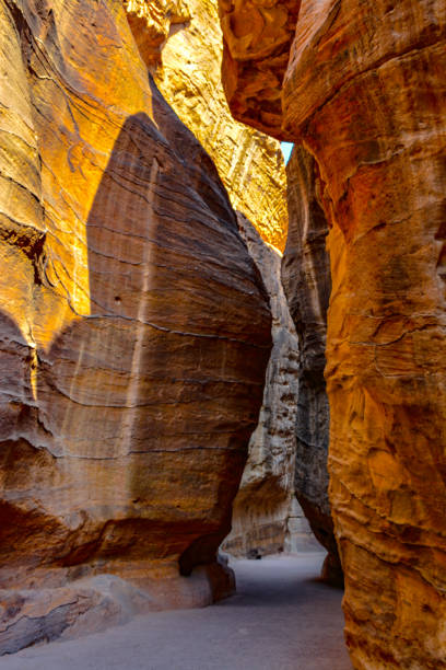 istock Walking in the Wadi Rum desert 1183075038