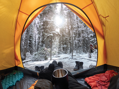 Camping with hand holding cup in yellow tent with snow in pine forest at Yoho national park