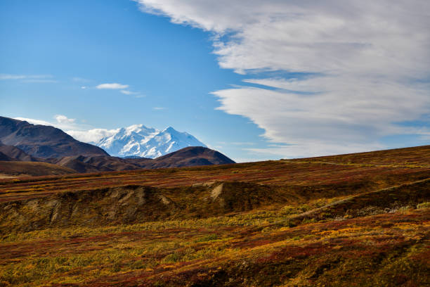 Fall time landscape at Denali National Park in Alaska