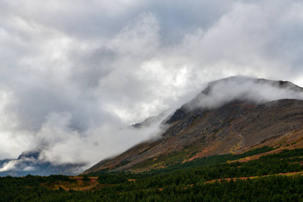 Fall time at Flattop mountain in Anchorage, Alaska