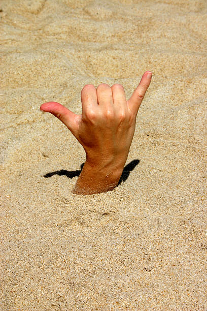 istock Hang Loose or Shaka Hand Sign 118307755