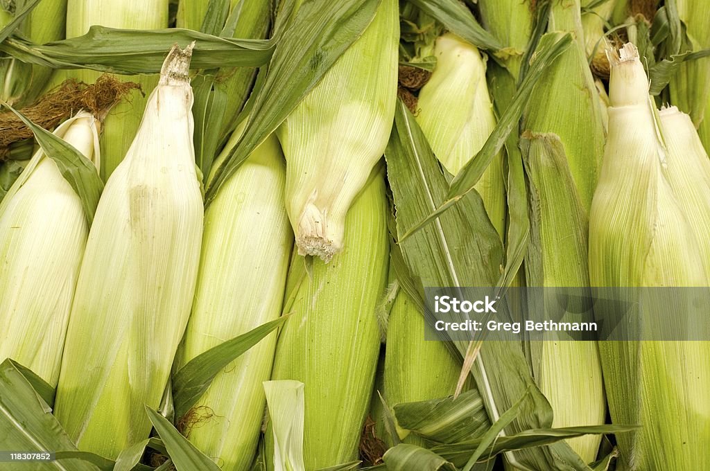 Orelhas de milho vertical - Foto de stock de Alimentação Saudável royalty-free