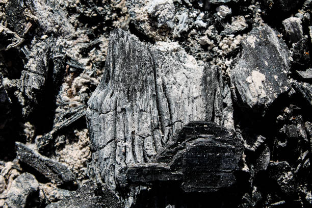 istock Background with black burnt wood 1183079443