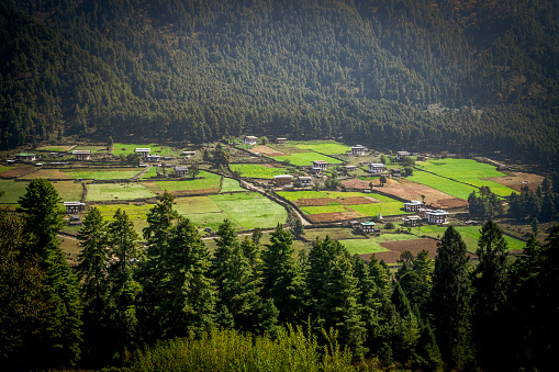 Rural fields in Gangtey Valley, in the central region of Bhutan