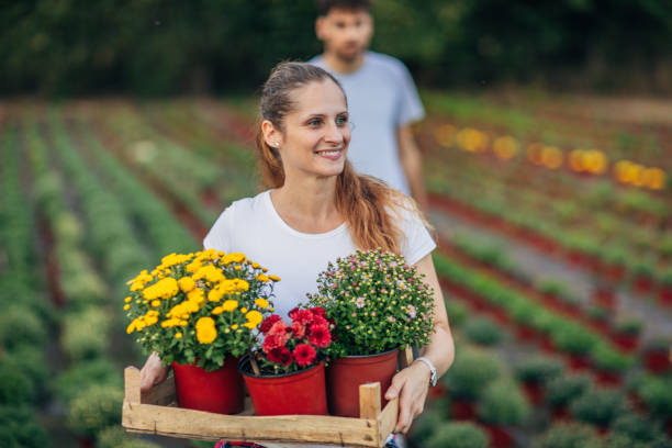 Lady working on flower farm