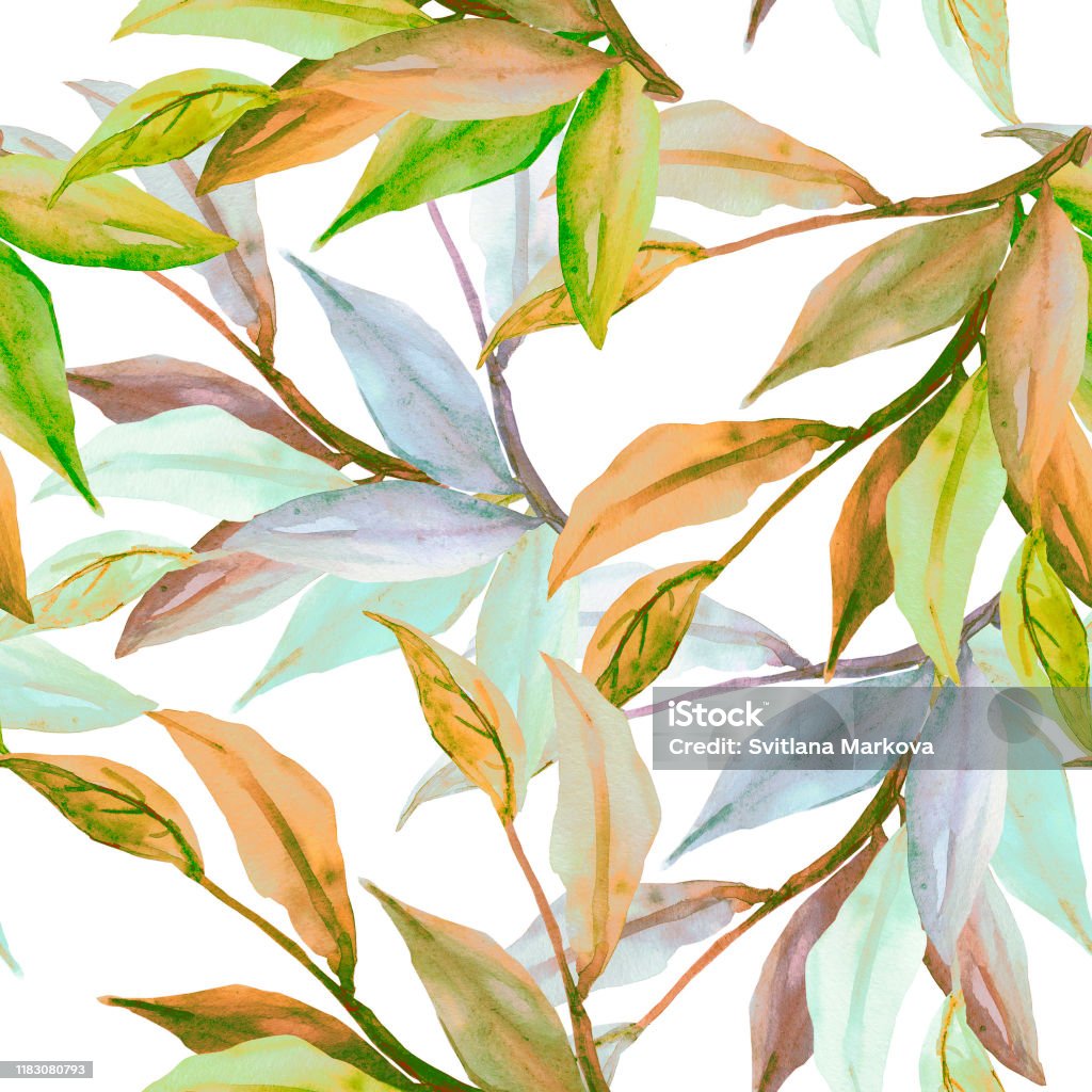 Color Branch Pomegranate Branches Stock Illustration - Download Image Now ...