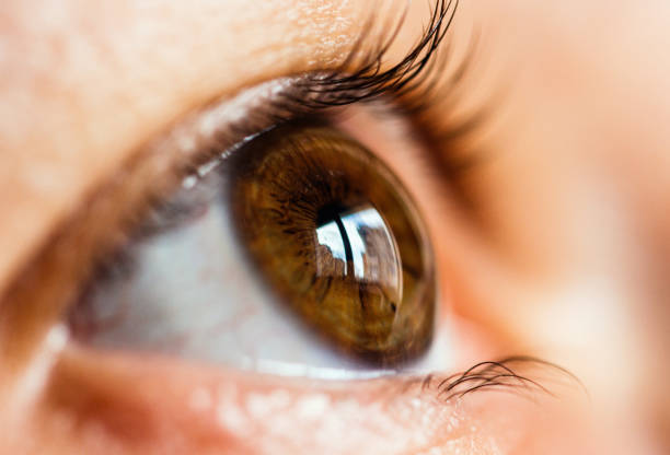 Photo of close up of human eye looking forward