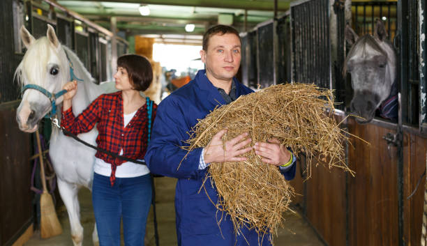 istock Man in working clothes feeding horse 1183081337
