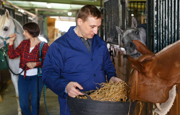 istock Man in working clothes feeding horse 1183081345