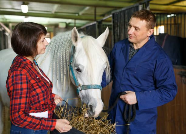 istock Workers feeding roan horse 1183081360