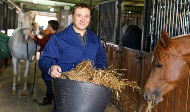 istock Male farm worker feeding horse 1183081889