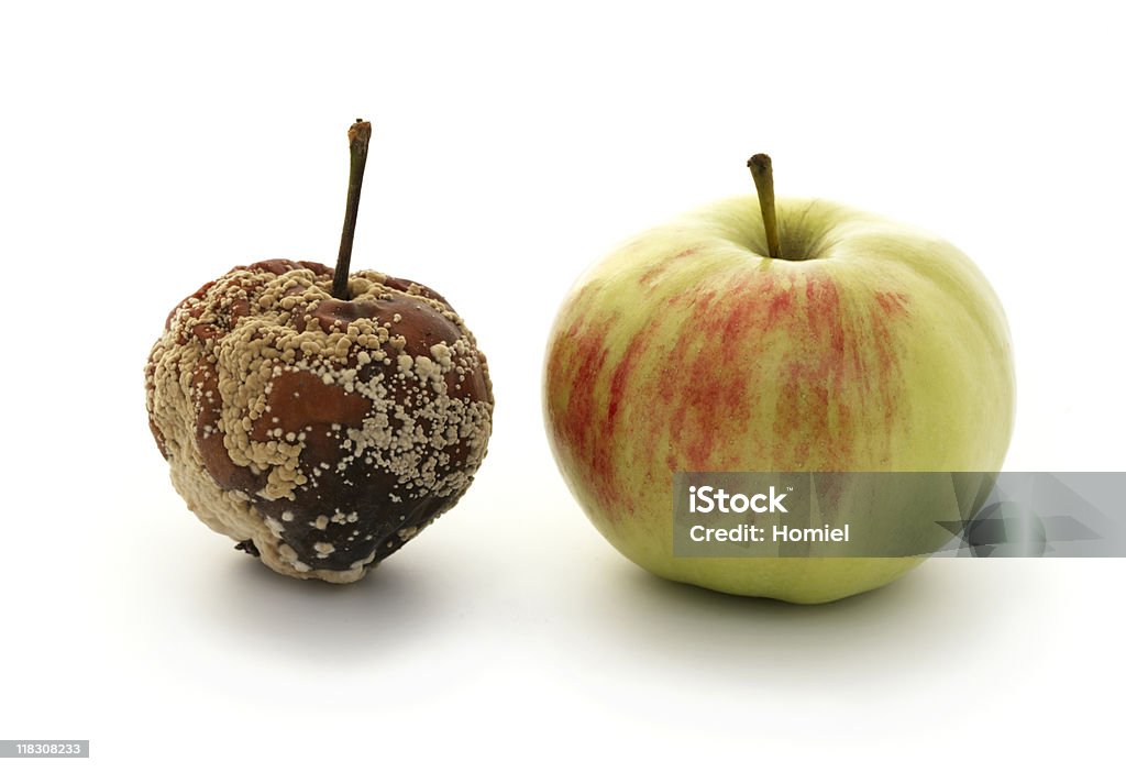 Dos Manzanas - Foto de stock de Agricultura libre de derechos