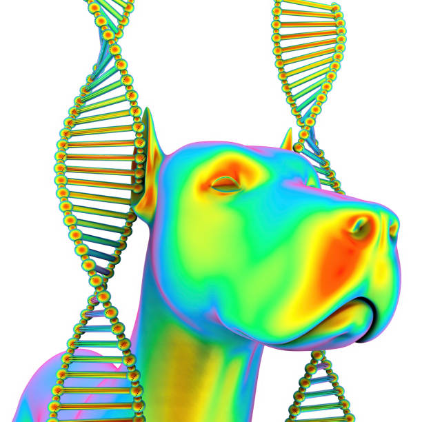 istock Genetic treatment in veterinary 1183082841