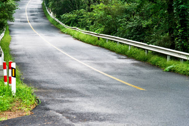 istock Winding road through green forest 1183084717