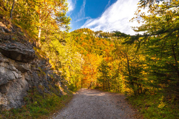 Mountain landscape in autumn sunny day. Hiking trail through Kvacianska valley, Slovakia, Europe.