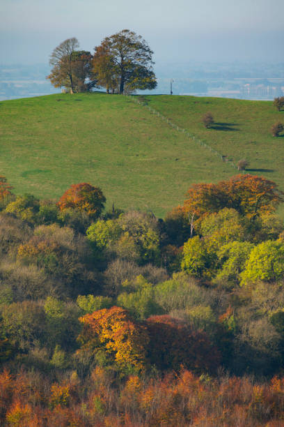 istock Autumn In The Chilterns 1183089073