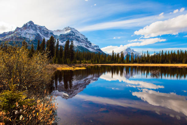 istock The mountains, forests and lakes 1183089286