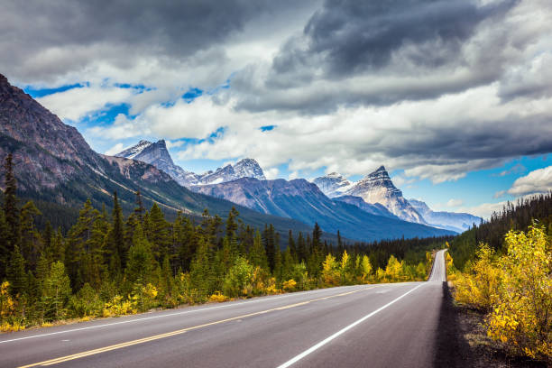 istock Magnificent northern autumn 1183089386