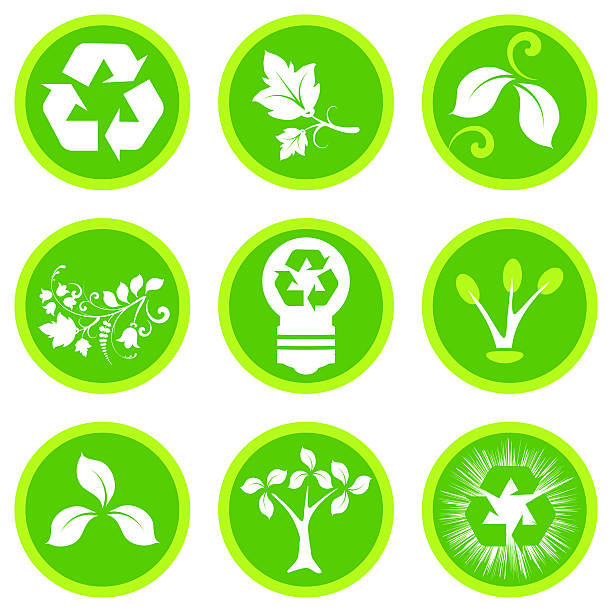 Green eco buttons vector art illustration