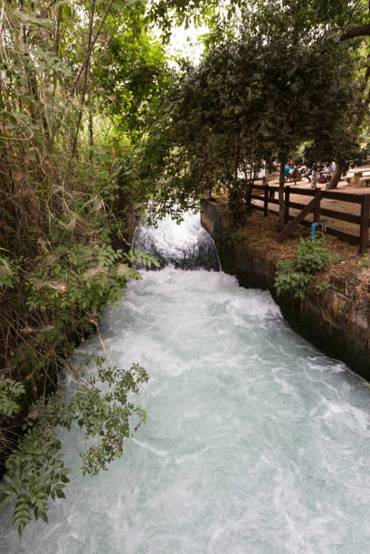 Tel Dan Spring 270+ Dan Israel View Stock Photos, Pictures & Royalty-Free Images - iStock