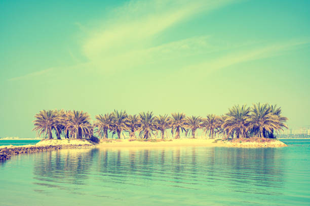 Beautiful Palm trees island in gulf sea over sky background in Amwaj, Bahrain.