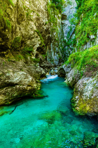 istock Tolmin Gorges in Slovenia 1183097335
