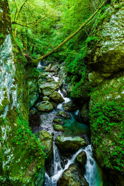 Turquoise river flowing in a gorge covered with moss and plants.